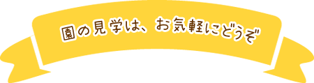 園の見学は、お気軽にどうぞ