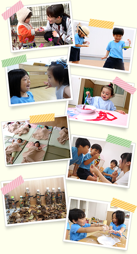 デイリープログラムの写真